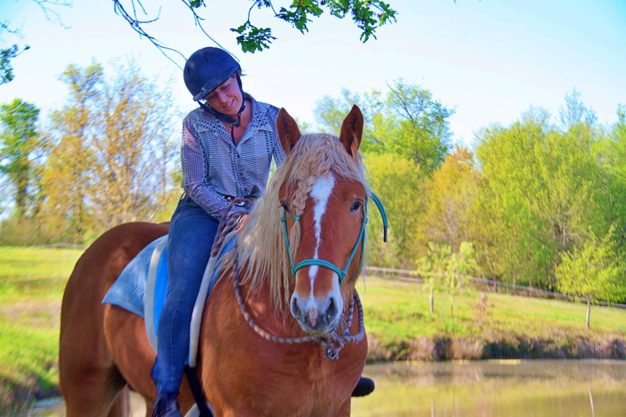 La m&eacute;thode &eacute;quine Imp&eacute;riale vous pr&eacute;sente les chevaux..