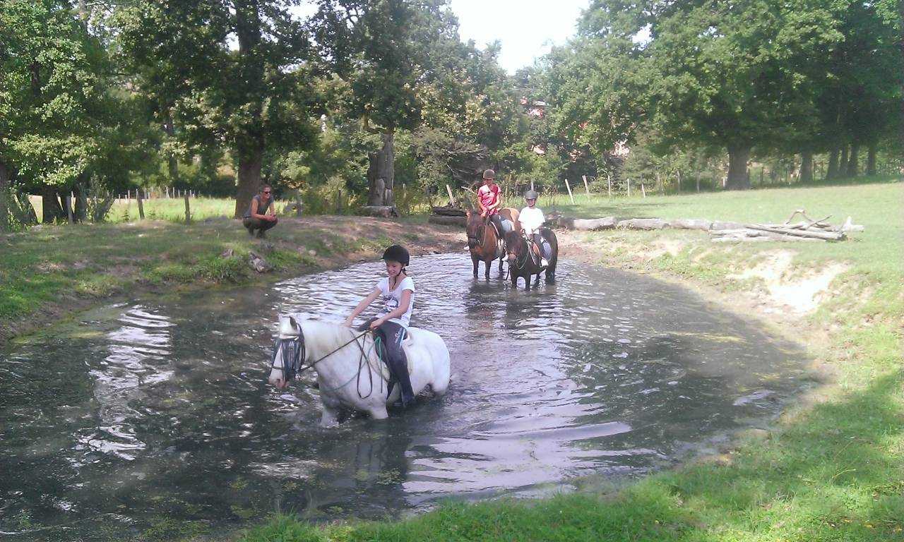 Pension pré/box ou pré, travail, école labellisée