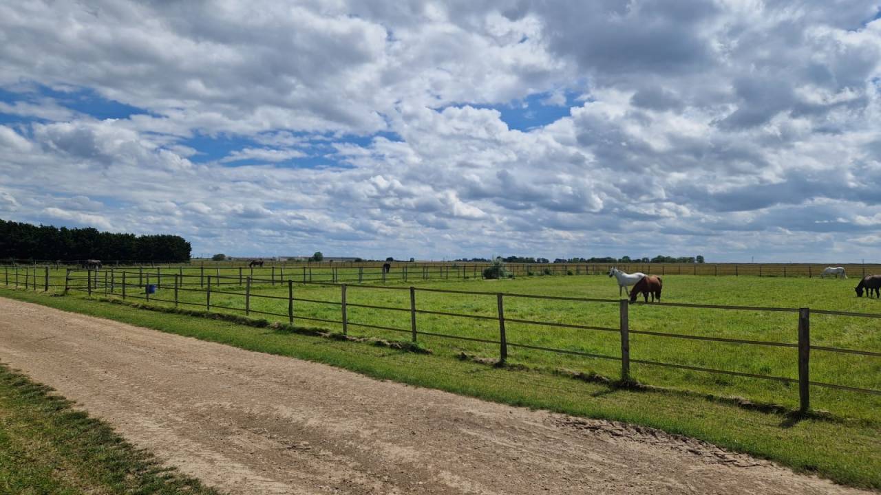 Pension pr&eacute; /box 