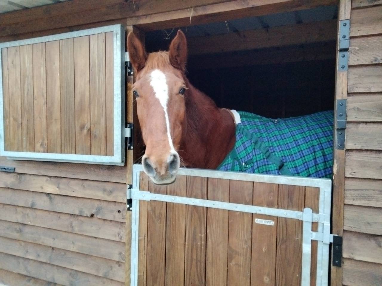 Pension pour chevaux familiale &agrave; Etrich&eacute;, 49