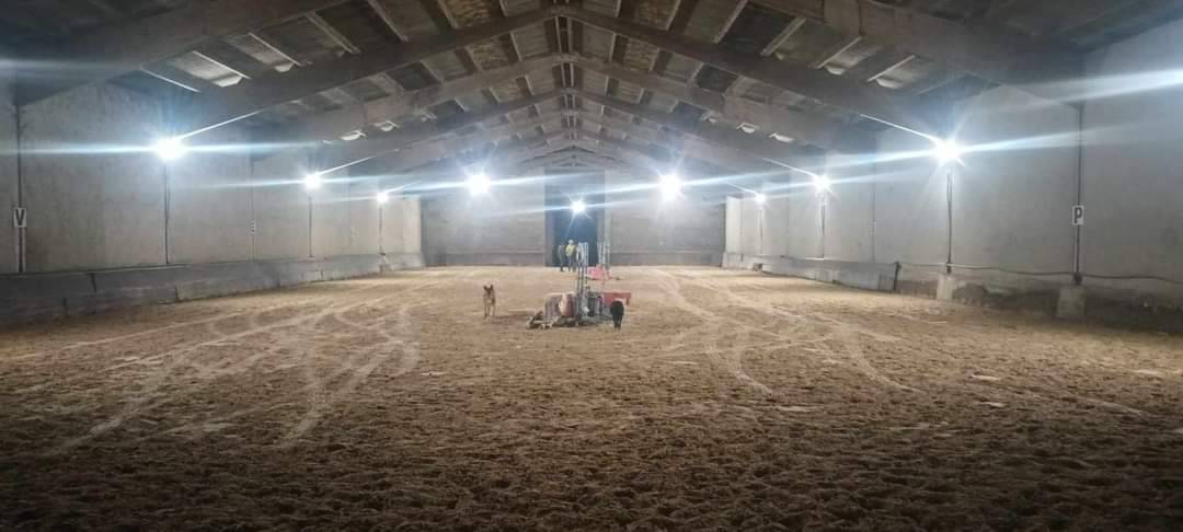 Ecurie jf falco B&eacute;ligneux dans le 01