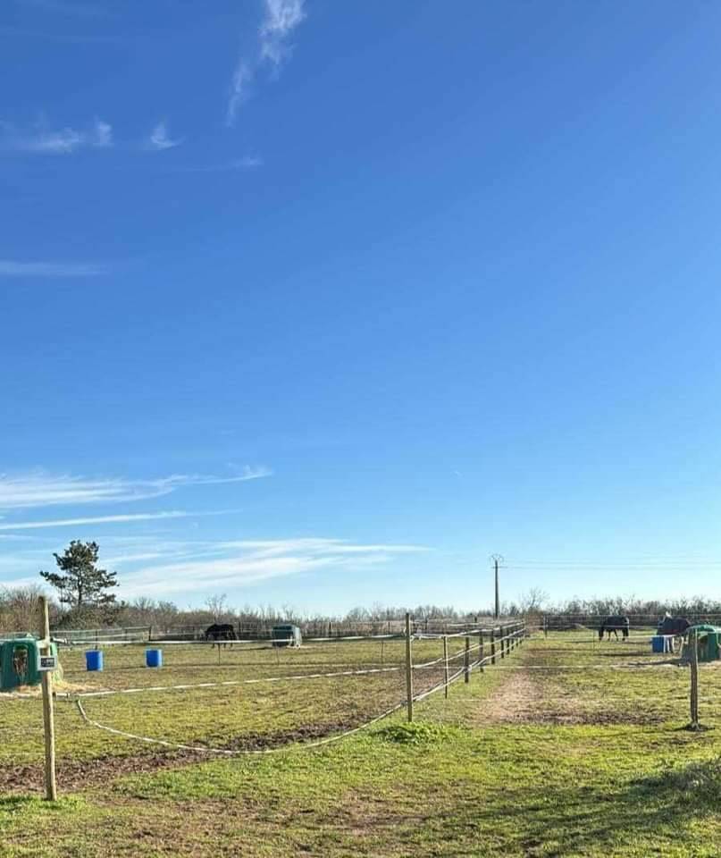 Ecurie jf falco B&eacute;ligneux dans le 01