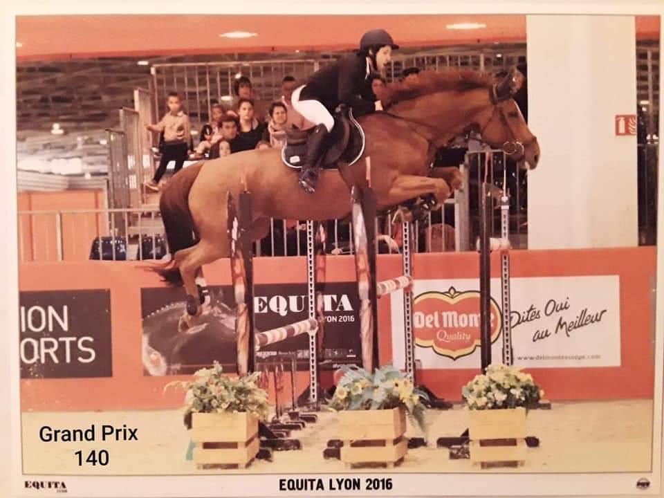 Ecurie jf falco B&eacute;ligneux dans le 01