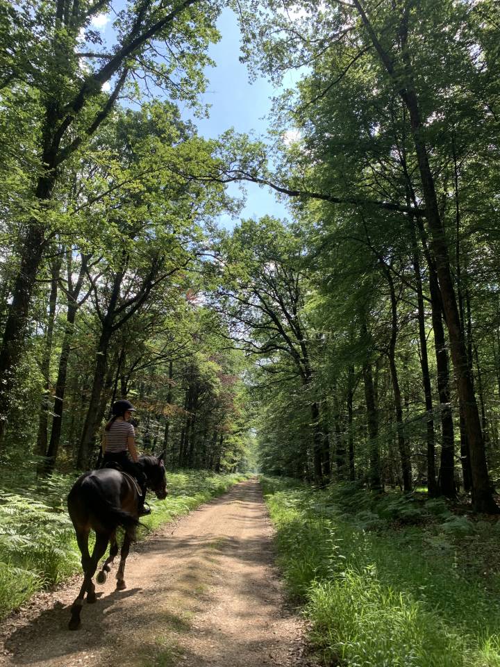 Pension pr&eacute;s - La Bidauderie (Cher)