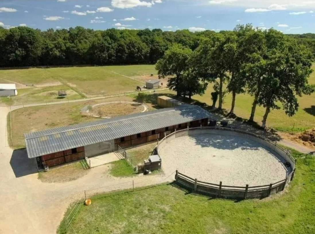 L'Or&eacute;e centre &eacute;questre - Pensions chevaux 