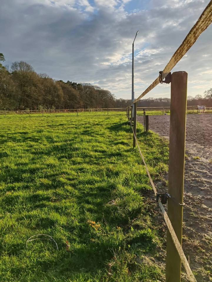 L'Or&eacute;e centre &eacute;questre - Pensions chevaux 