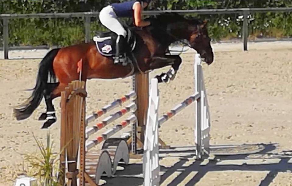 L'Or&eacute;e centre &eacute;questre - Pensions chevaux 