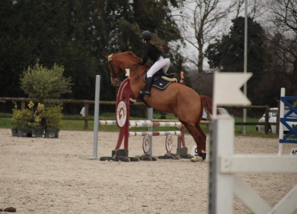 L'Or&eacute;e centre &eacute;questre - Pensions chevaux 