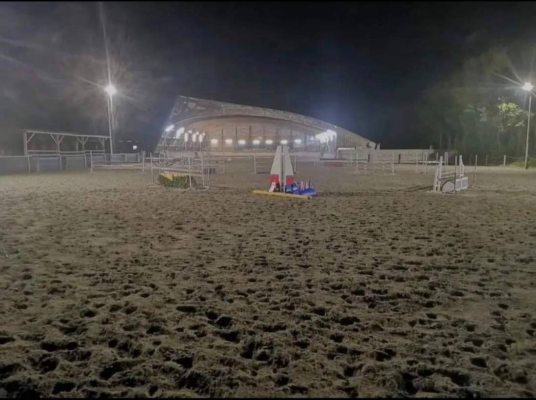 L'Or&eacute;e centre &eacute;questre - Pensions chevaux 