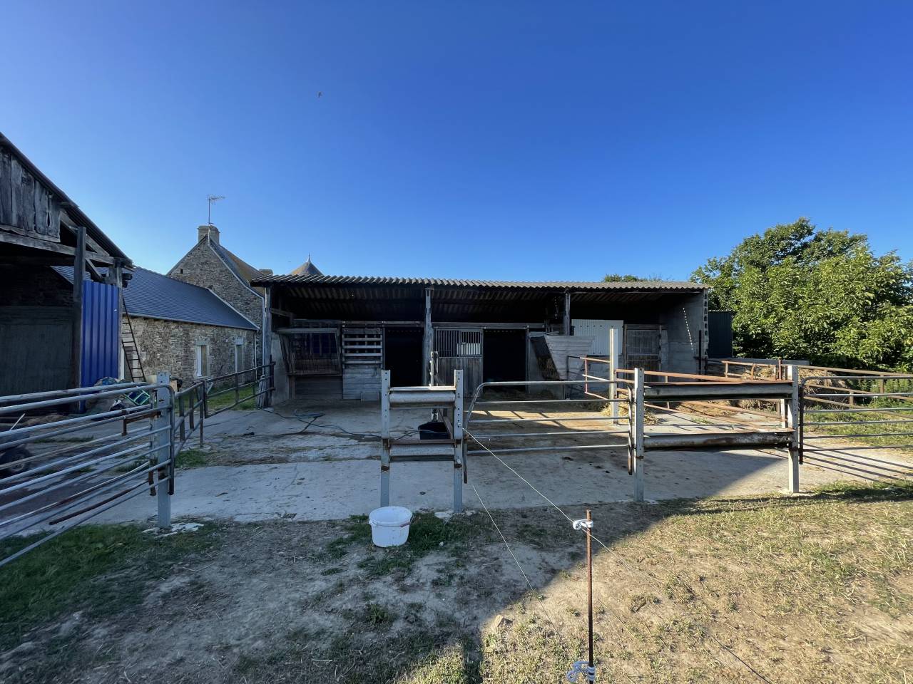 Pension cheval / poney 