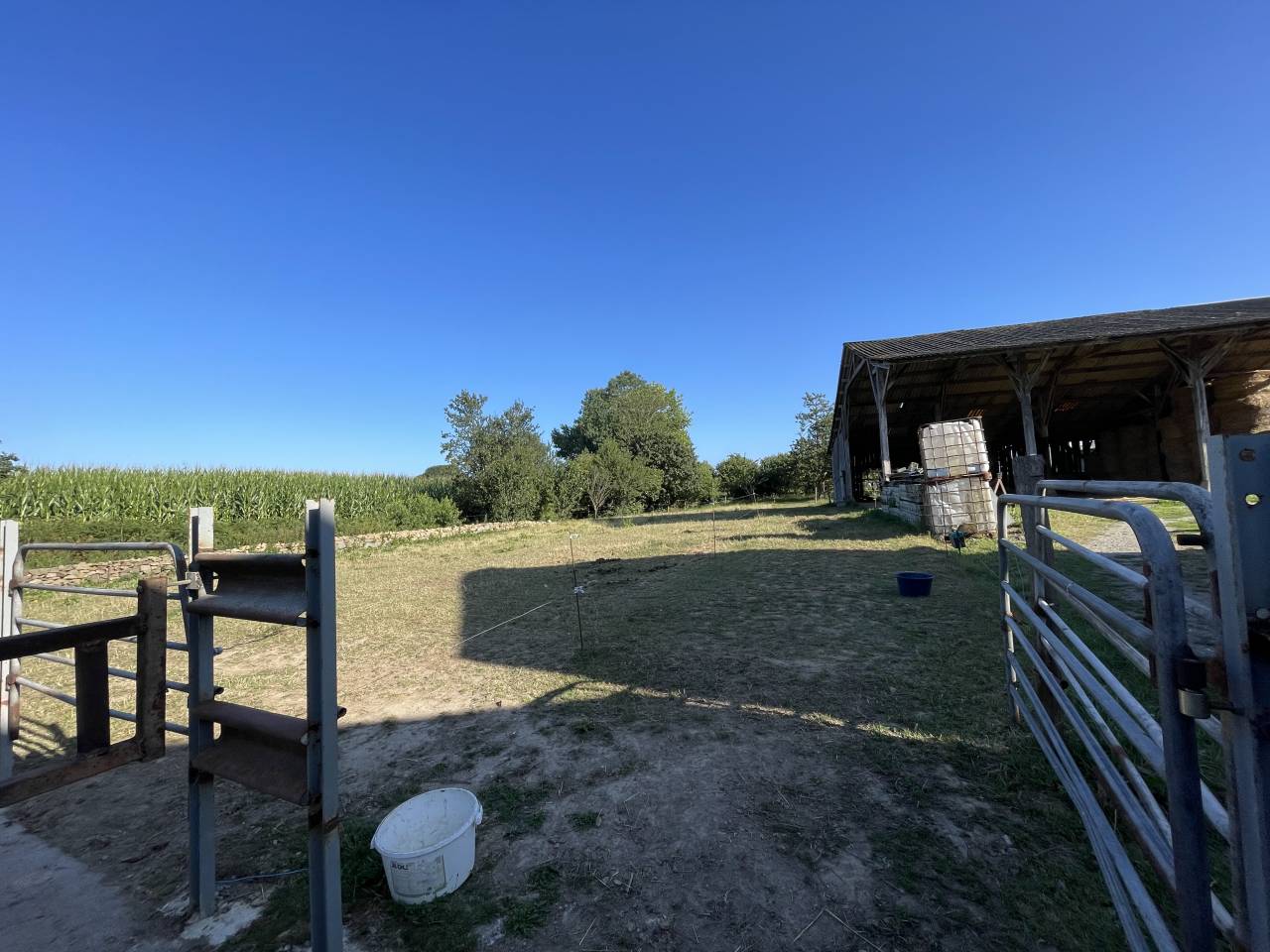 Pension cheval / poney 