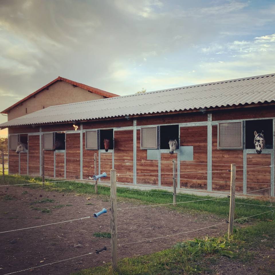 &Eacute;curie de propri&eacute;taires de maupertuis - 63200 Riom