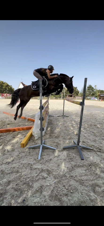 &Eacute;curies de propri&eacute;taire ou demi pension 