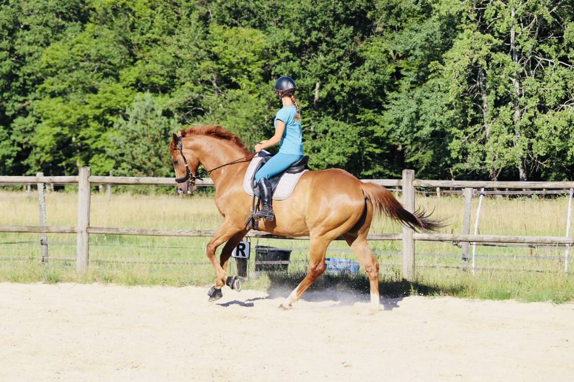 &Eacute;curies de propri&eacute;taire ou demi pension 