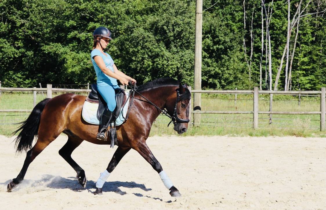 &Eacute;curies de propri&eacute;taire ou demi pension 