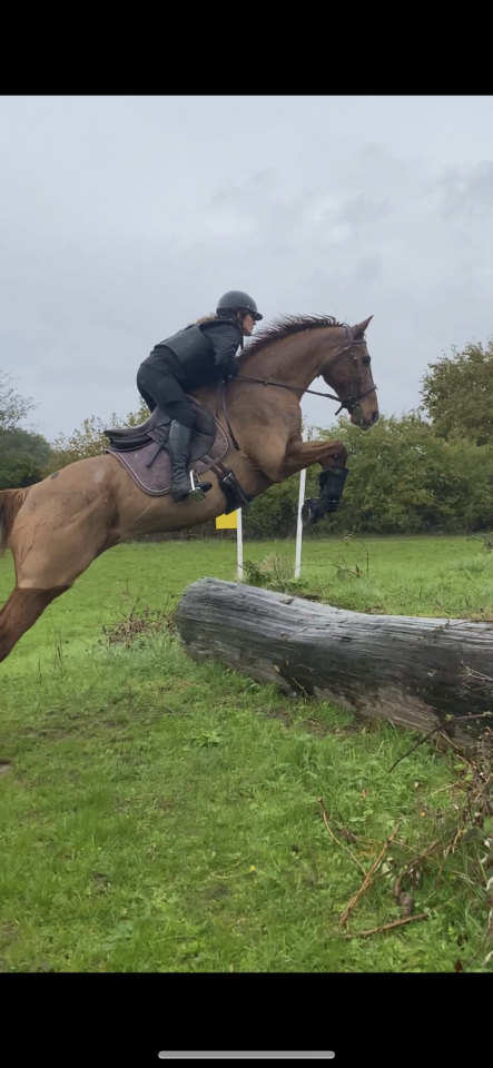 &Eacute;curies de propri&eacute;taire ou demi pension 