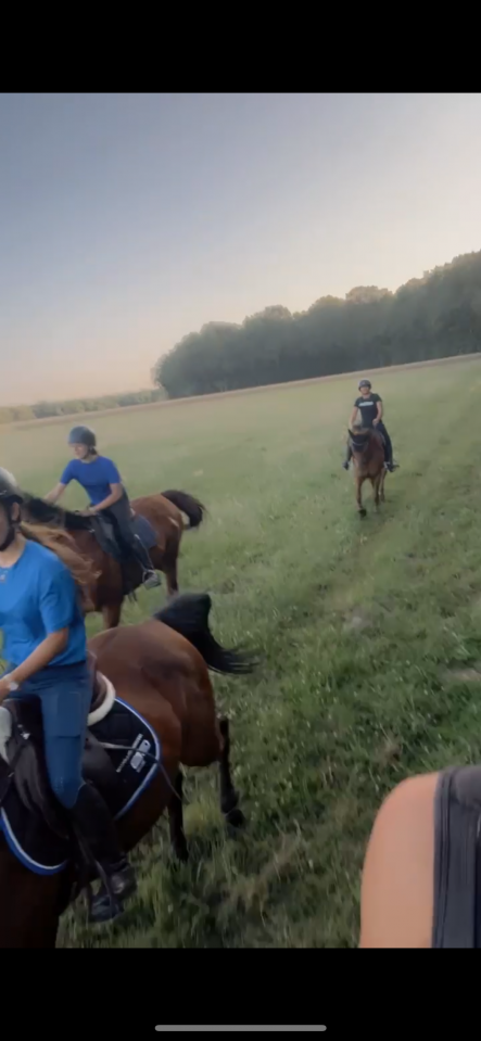 &Eacute;curies de propri&eacute;taire ou demi pension 