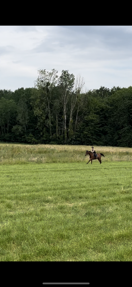 &Eacute;curies de propri&eacute;taire ou demi pension 