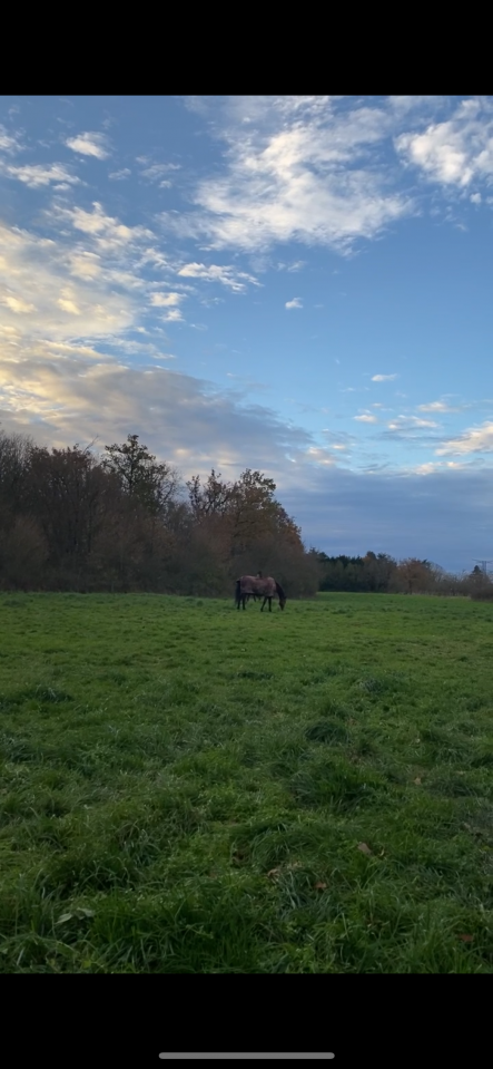 &Eacute;curies de propri&eacute;taire ou demi pension 