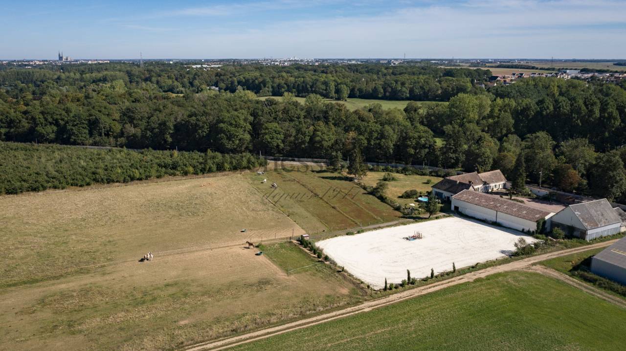 Nouvelle pension chevaux &ndash; Haras d&rsquo;Harmonie