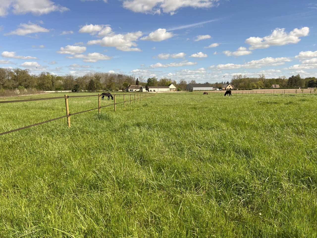 Nouvelle pension chevaux &ndash; Haras d&rsquo;Harmonie
