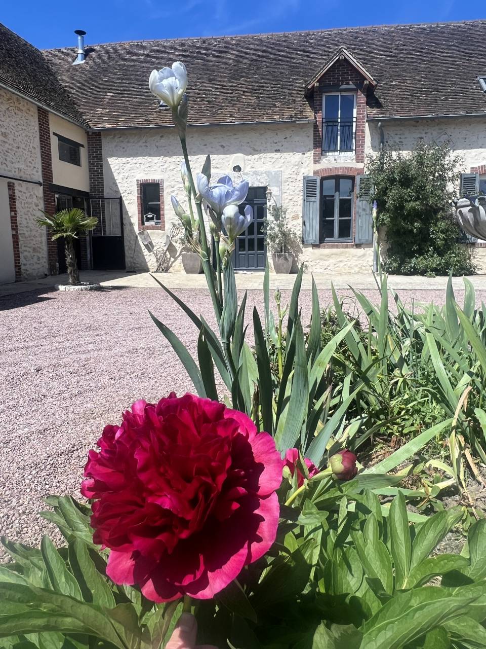 Nouvelle pension chevaux &ndash; Haras d&rsquo;Harmonie