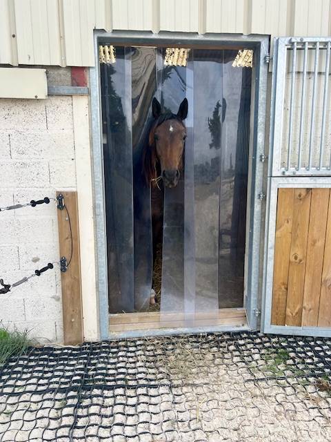 Nouvelle pension chevaux &ndash; Haras d&rsquo;Harmonie