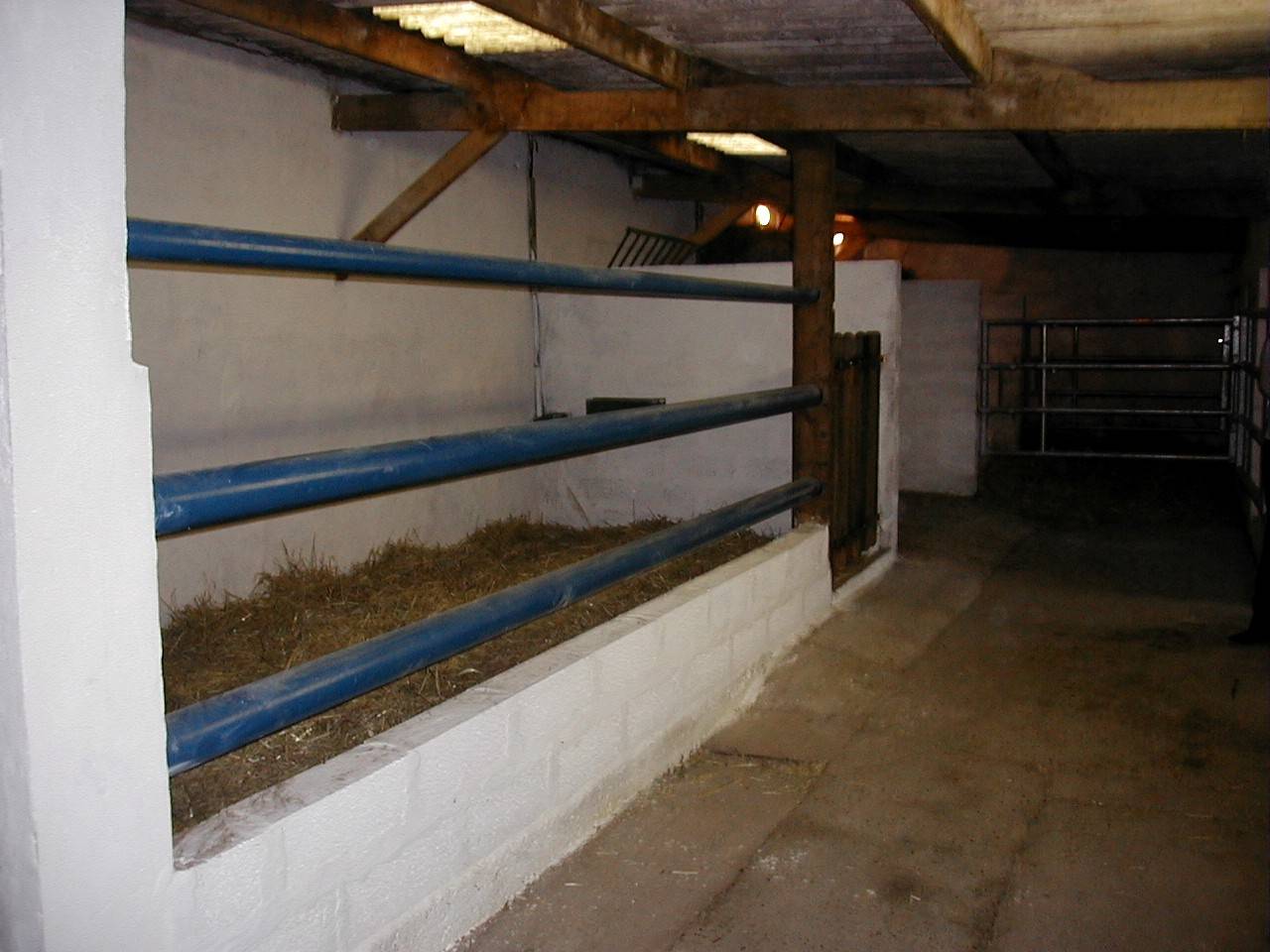 Pension familale pour chevaux et poneys proche Calais