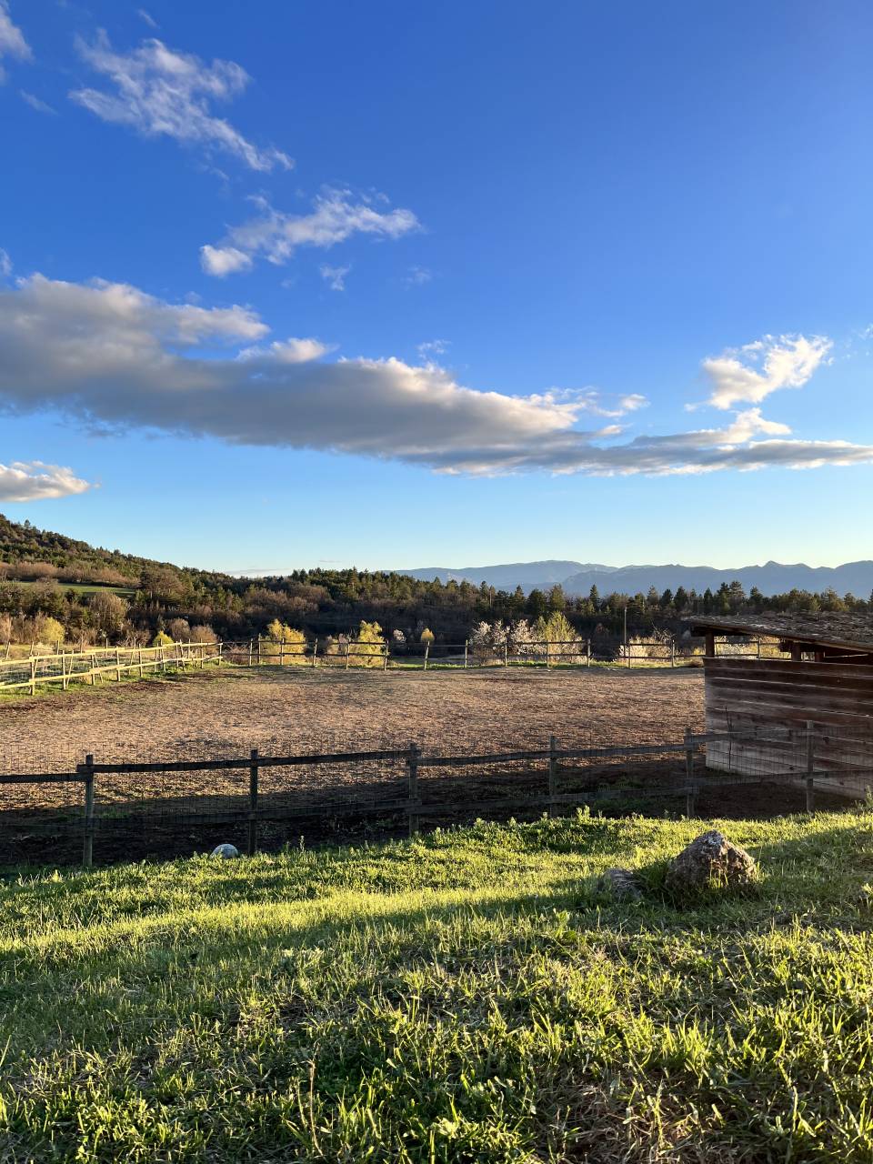 Pension chevaux - &Eacute;qui Elizabeth 04200 Sisteron 