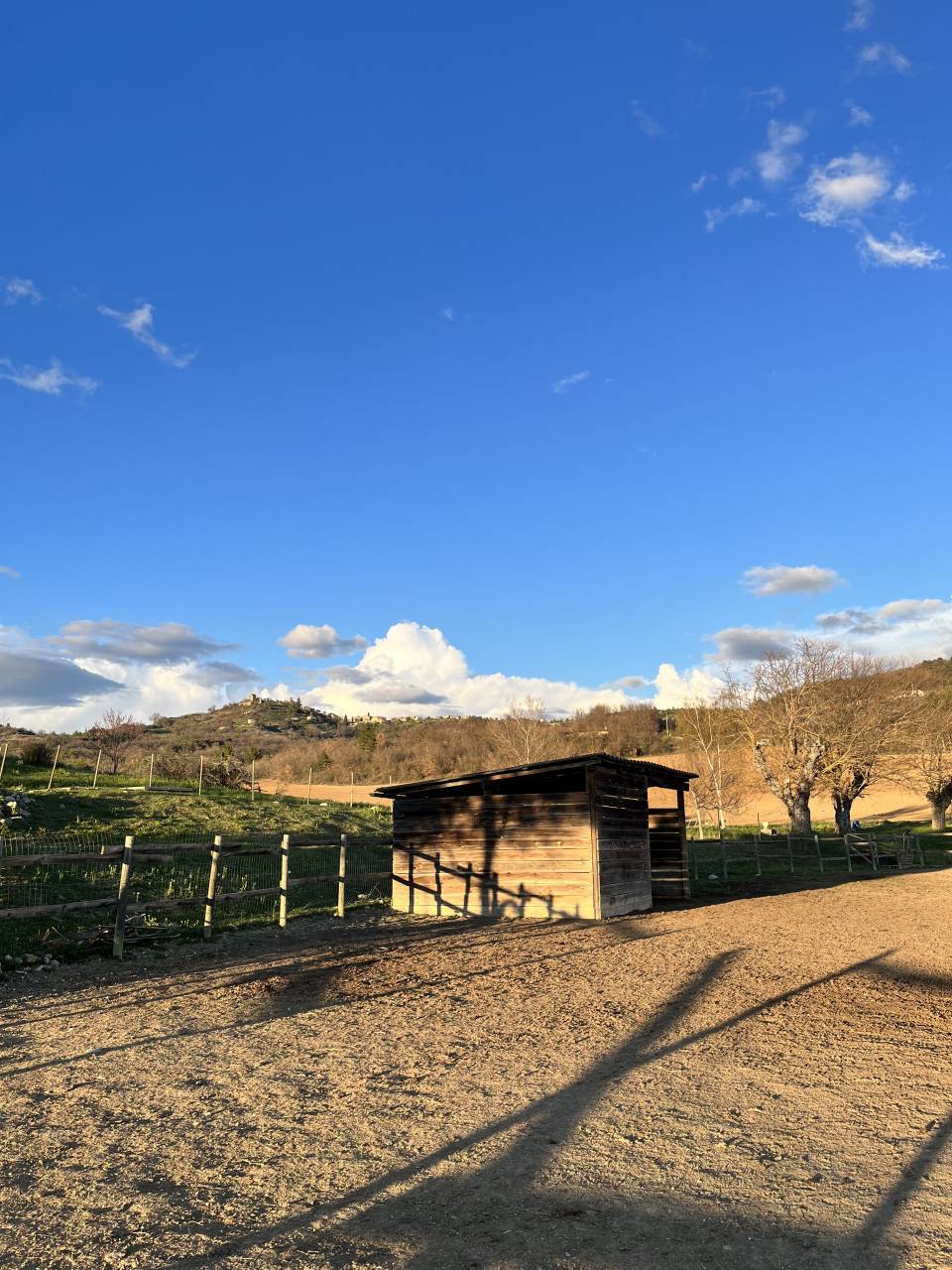 Pension chevaux - &Eacute;qui Elizabeth 04200 Sisteron 