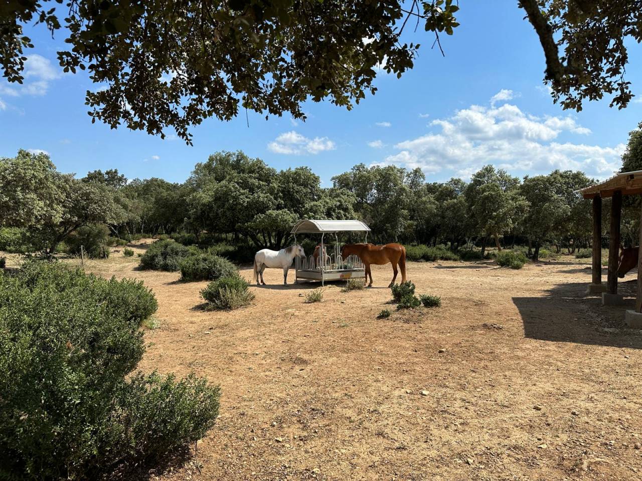 Pension retraite et &eacute;levage dans le sud de la France