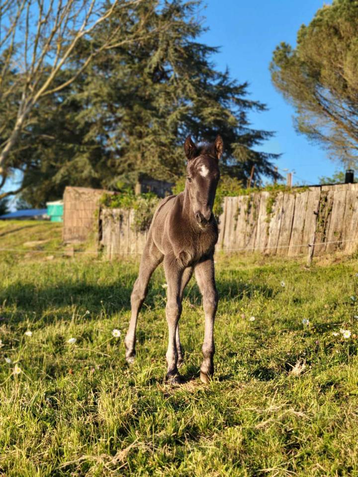 Pensions pr&eacute; - Proche Albi/Carmaux