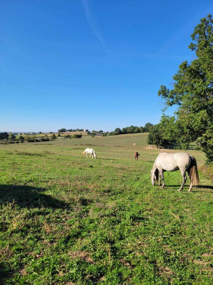 Pensions pr&eacute; - Proche Albi/Carmaux
