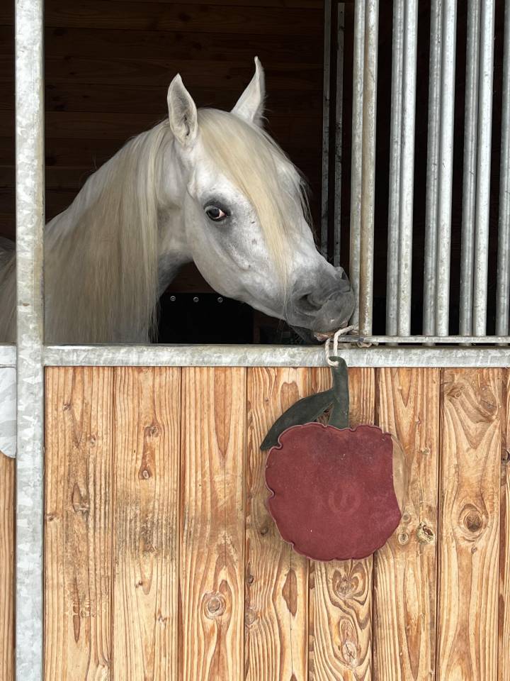 pension retraite / convalescence 