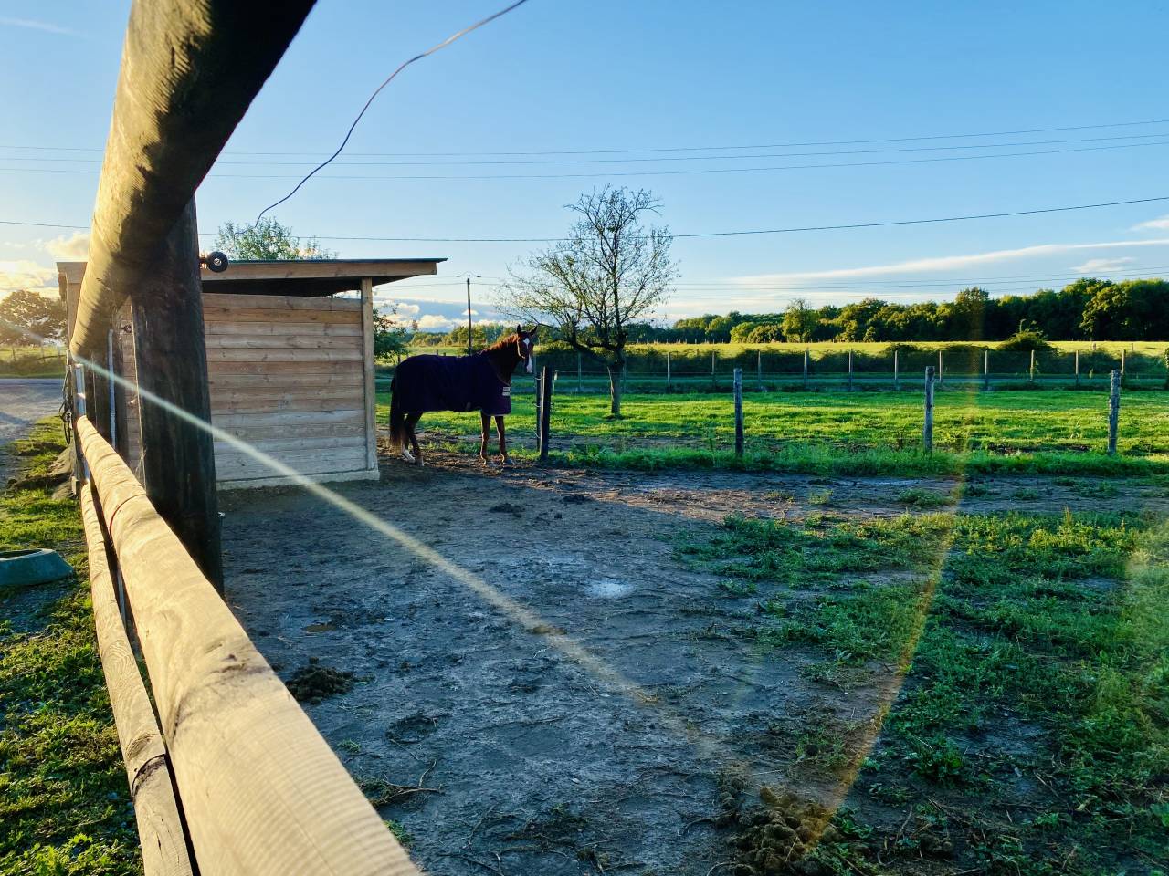 Nouvelle &eacute;curie de propri&eacute;taires proche de Tours