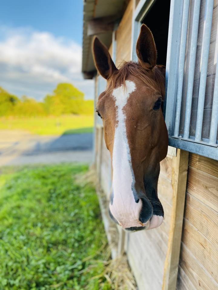 Nouvelle &eacute;curie de propri&eacute;taires proche de Tours