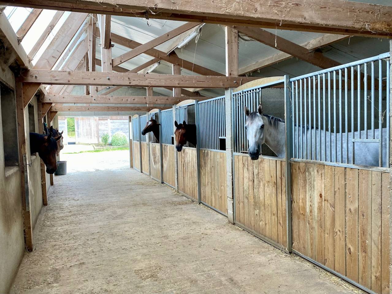 Nouvelle &eacute;curie de propri&eacute;taires proche de Tours