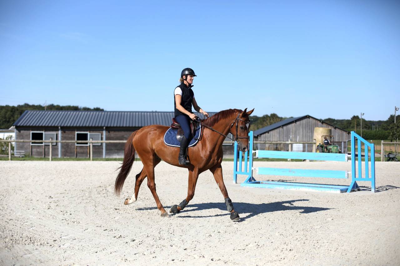 Nouvelle &eacute;curie de propri&eacute;taires proche de Tours