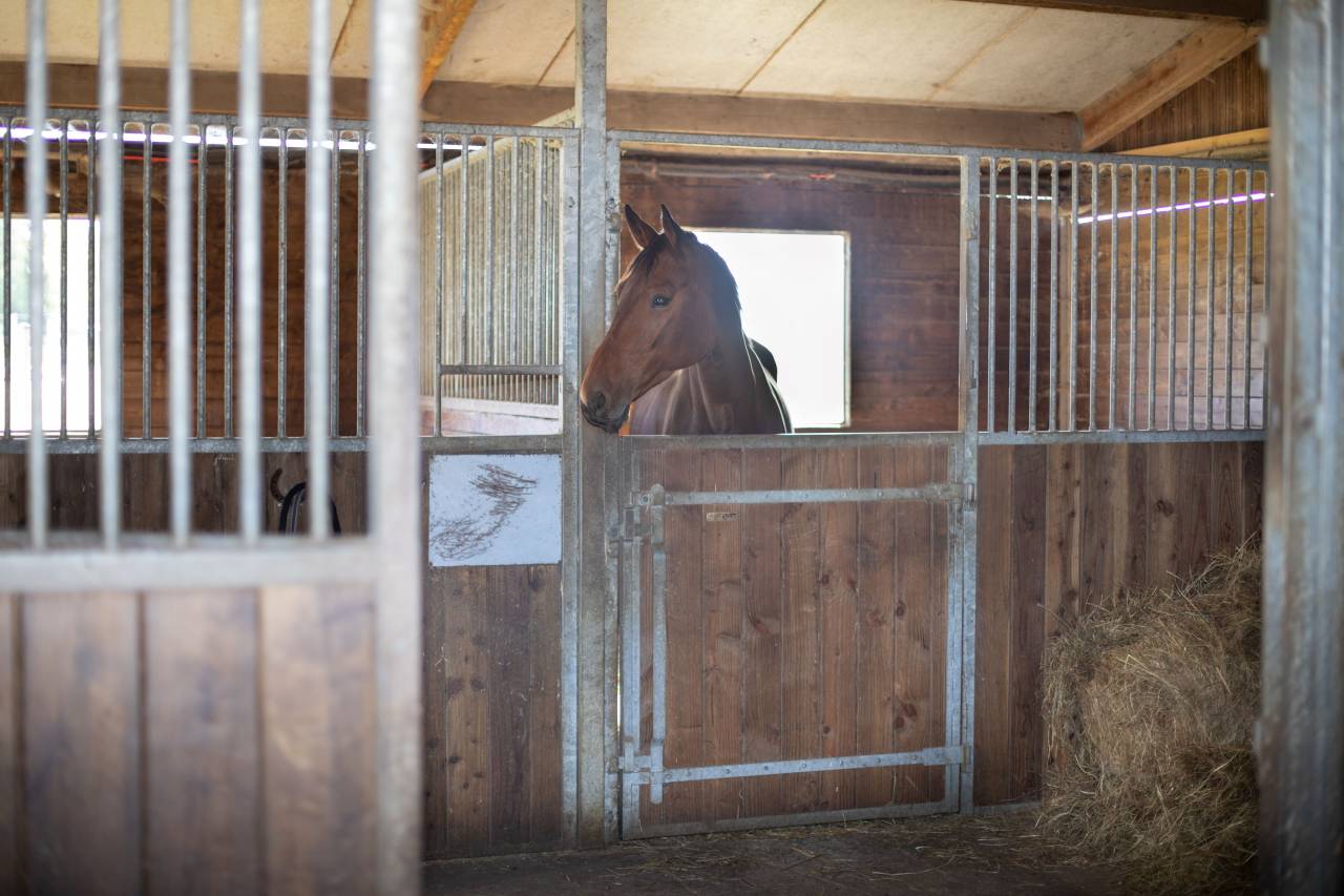 Nouvelle &eacute;curie de propri&eacute;taires proche de Tours