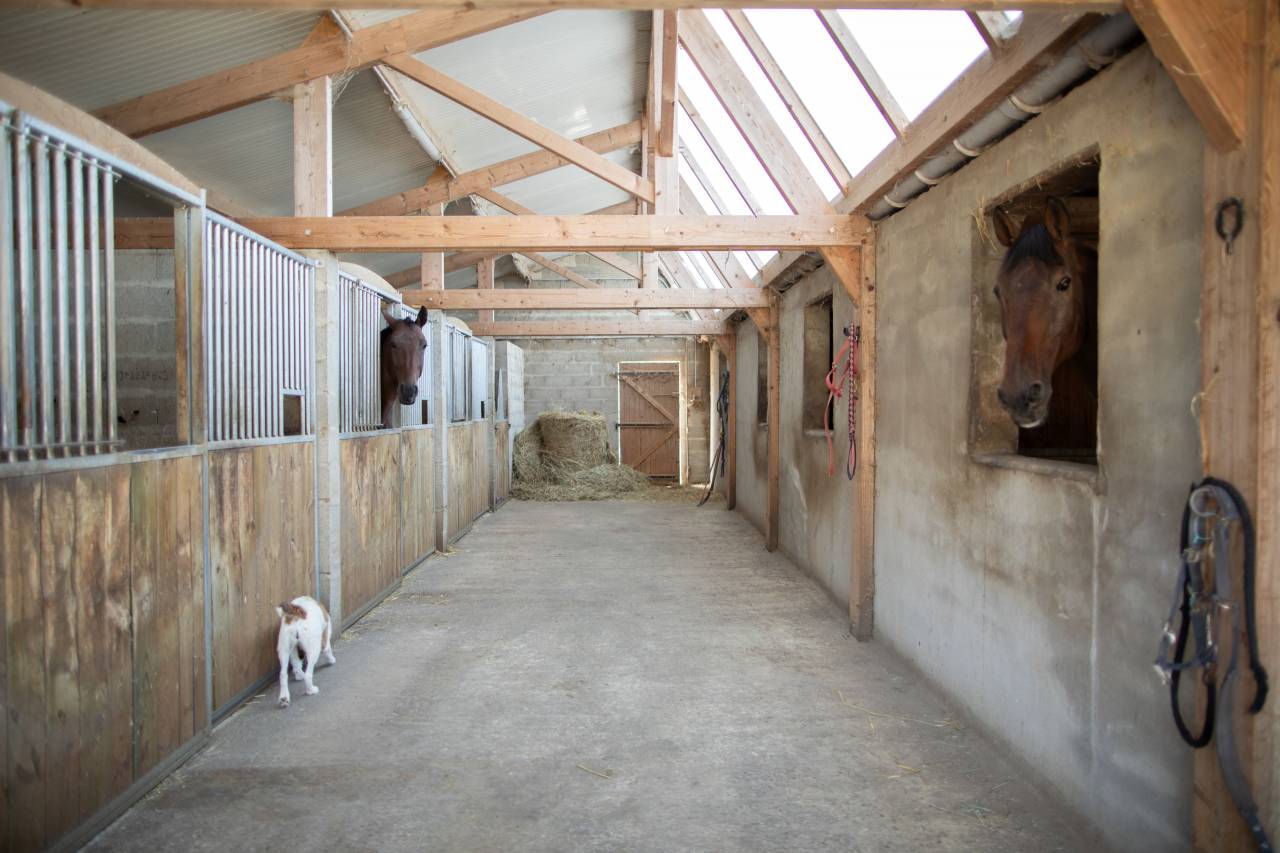 Nouvelle &eacute;curie de propri&eacute;taires proche de Tours