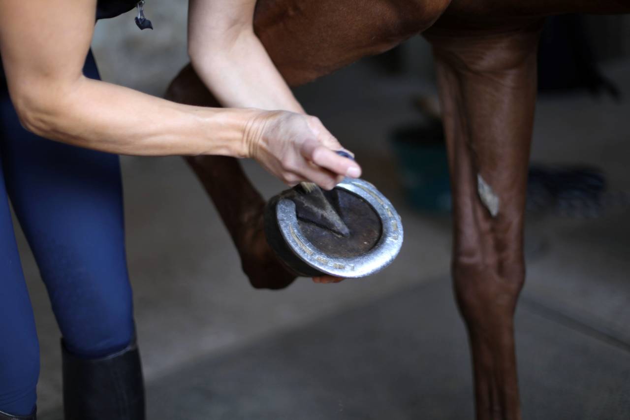 Nouvelle &eacute;curie de propri&eacute;taires proche de Tours