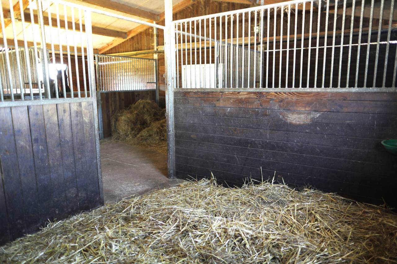 Nouvelle &eacute;curie de propri&eacute;taires proche de Tours