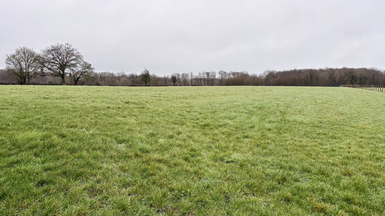 Ecurie de propri&eacute;taires proche de Tours