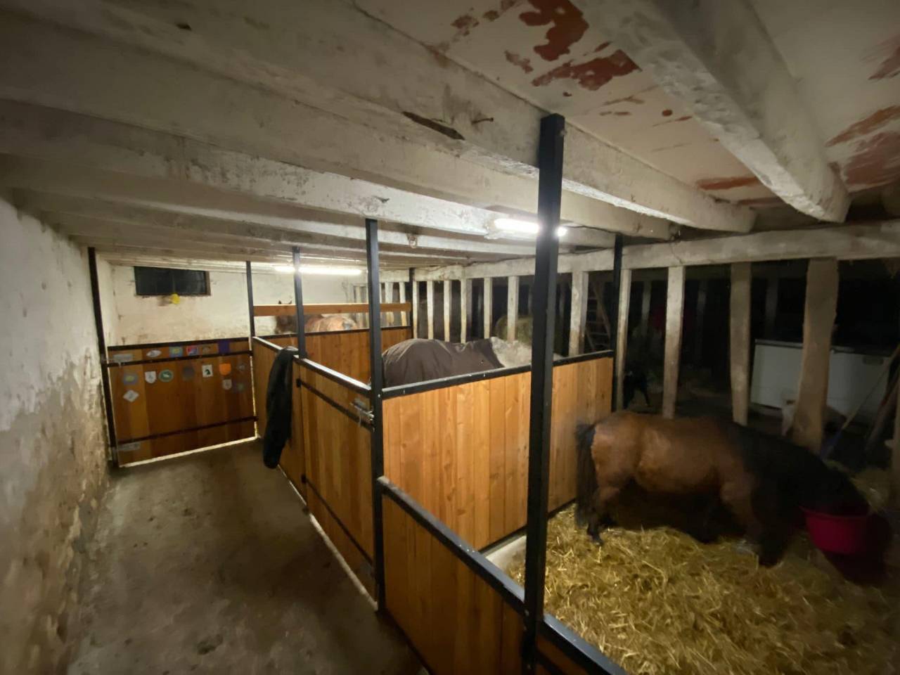 Pension pré et pré box avec sortie quotidienne 