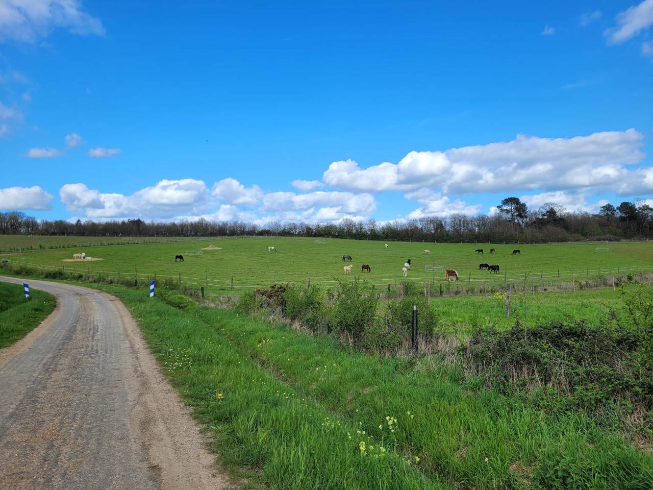 Ecurie de propiétaire / pension chevaux