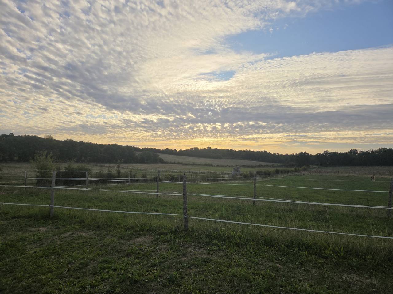 Ecurie de propi&eacute;taire / pension chevaux
