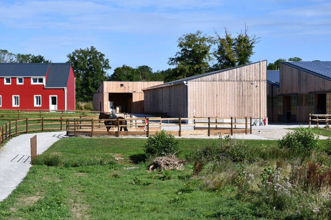 Ecurie de proprietaires dressage et loisirs