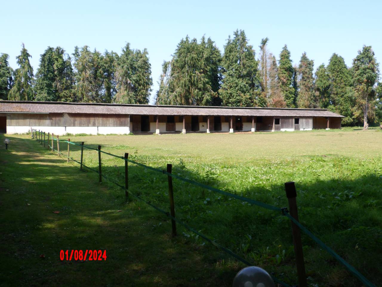 904476_1729850865_7216.jpg
