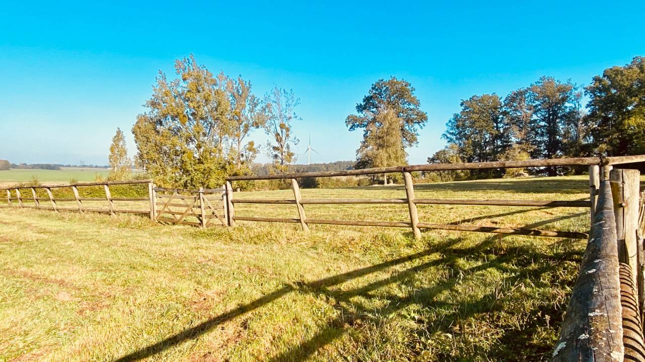 905053_1730186293_6998.jpg