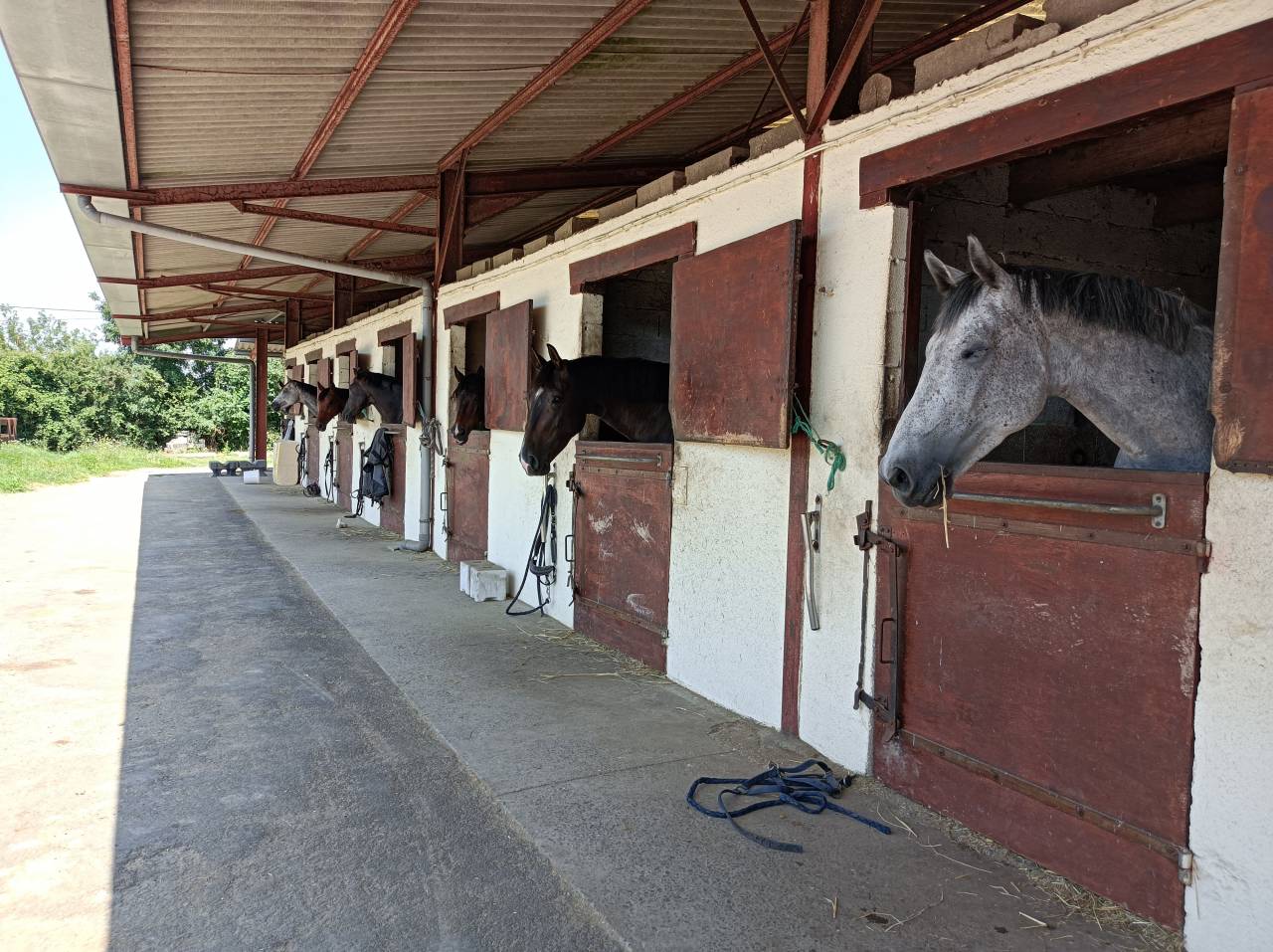 &Eacute;curie de propri&eacute;taires des Deux - 79230 Prahecq